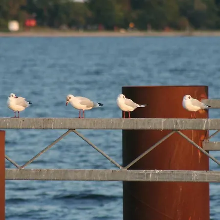 Abendrot 308 An Der Ostsee - Abc308 * Hohen Wieschendorf
